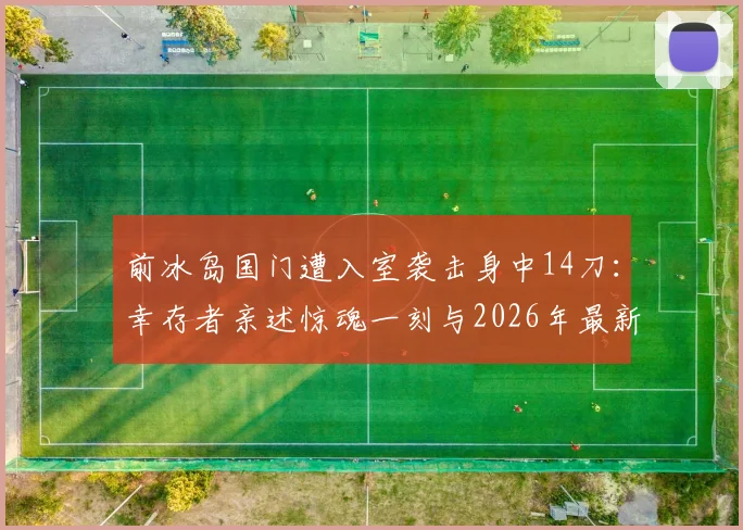 前冰岛国门遭入室袭击身中14刀：幸存者亲述惊魂一刻与2026年最新康复近况，运动员安全警示
